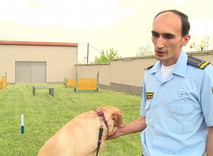 Кинологический центр Управления по борьбе с контрабандой КГД будет модернизирован