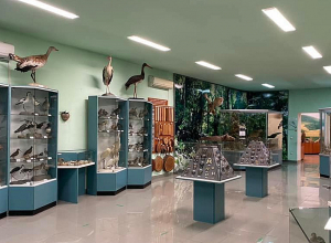 Թանգարանների այցելությունը մինչև 12 տարեկան երեխաների համար կլինի անվճար․ ԿԳՄՍ