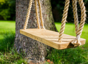 11-ամյա տղան մահացել է ճոճոնակը նորոգելիս․ նրա մարմինը գտել է 18-ամյա քույրը․ Aravot.am