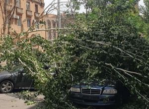 Ծառ է կոտրվել․ այսօրվա ուժգին քամու հետևանքները