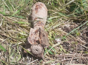 Ջրվեժում հայտնաբերվել է ականանետի ական