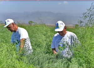 12.000.000 շվեյցարական ֆրանկ՝ Հայաստանին․ SIGMA ծրագրի մեկնարկ