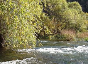 Հայտնաբերվել է Հաղարծին գյուղի «Թաքնված ջրվեժ»-ի մոտ գետն ընկած 29-ամյա տղամարդու դին