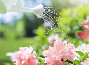 Հունիս ամսվա եղանակային կանխատեսումը