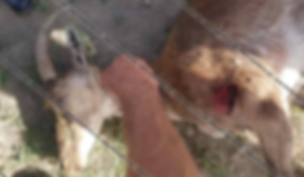 286448975_323282086659834_1835356159526752328_n