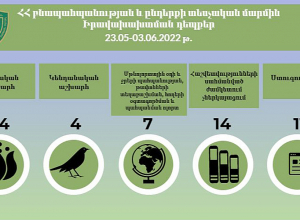 Բնությանը պատճառվել է 175 մլն դրամի վնաս․ ԲԸՏՄ