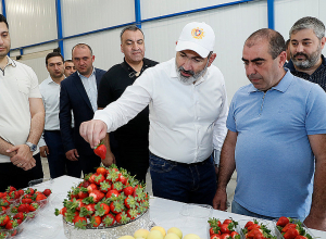 Փաշինյանն այցելել է Արարատի մարզ՝ ծանոթացել սուբվենցիոն ծրագրերով իրականացվող աշխատանքների ընթացքին (լուսանկարներ)