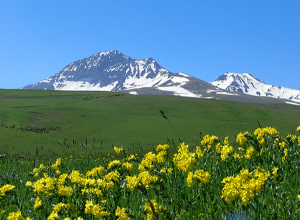 Արագած լեռան վրա մոլորված ՌԴ քաղաքացին հայտնաբերվել է