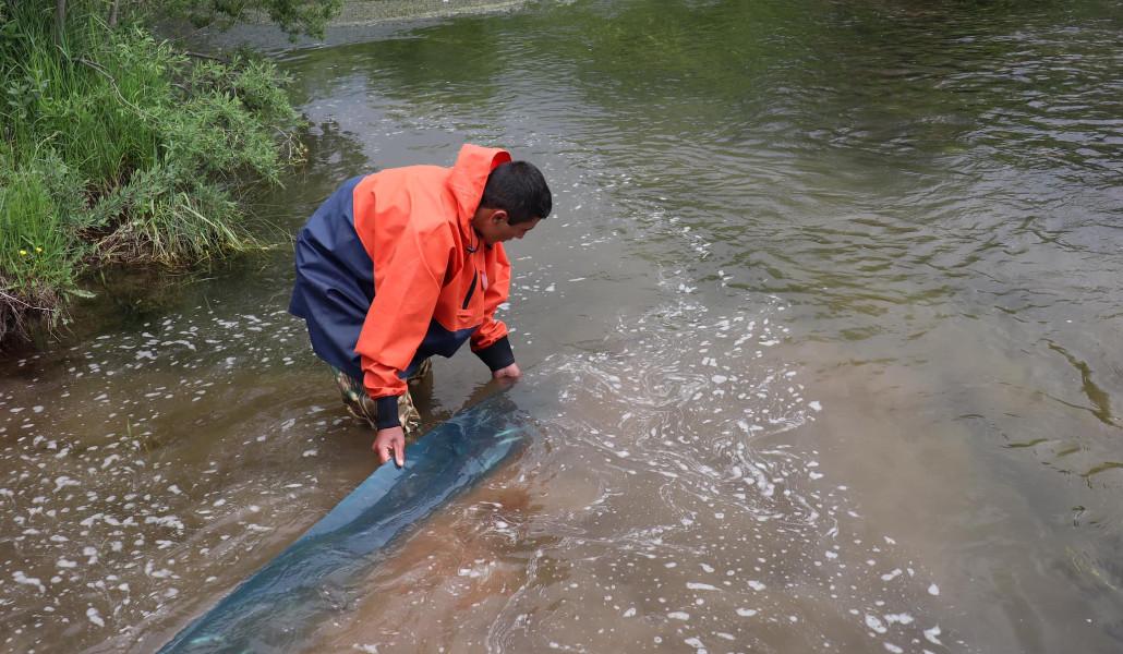 286925234_328391436148899_1951395013338228134_n