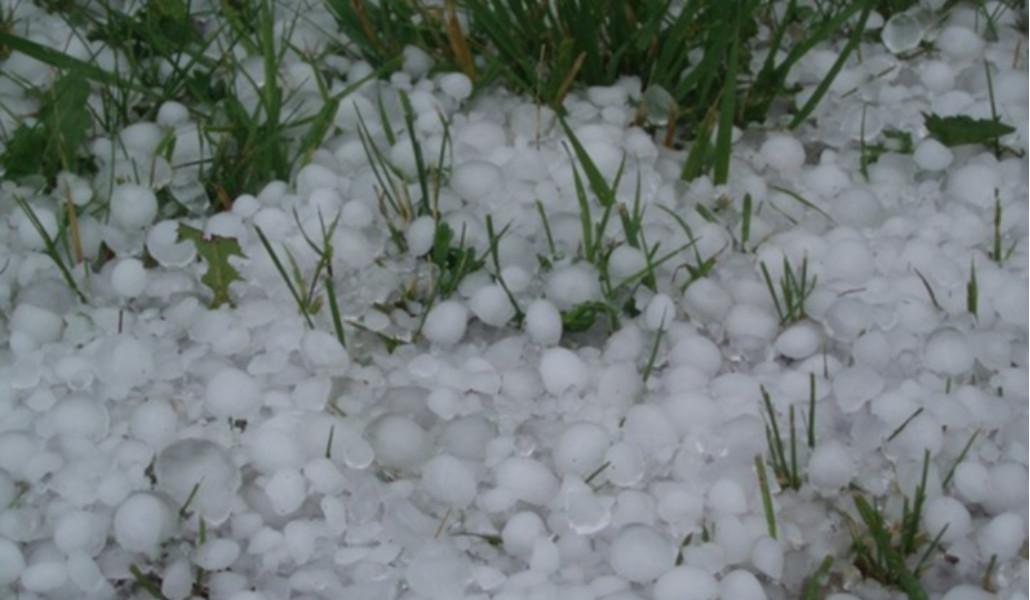 287879610_394564676023040_4141688193743436737_n