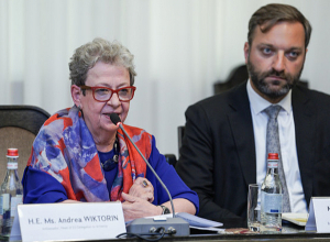 Состоялось обсуждение программ, реализуемых в рамках Экономического и Инвестиционного плана ЕС