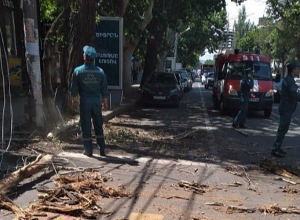 Ծառի ճյուղն ընկել է կայանած ավտոմեքենաների վրա