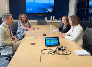 Դեմիոն Ուիլսոնը հետաքրքրվել է Հայաստանում ժողովրդավարական բարեփոխումներից