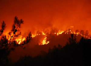 Թուրքիայի ծովափնյա անտառներում հրդեհ է