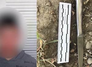 Поножовщина в Нор Харберде