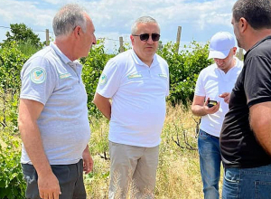 ՍԱՏՄ ղեկավարը ծանոթացել է Արմավիրի մարզի այգիների բուսասանիտարական վիճակին