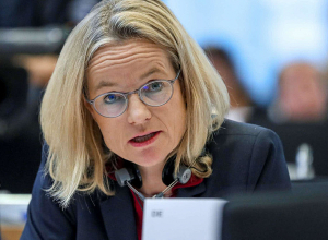 Վեց ամսից Վրաստանը ԵՄ թեկնածուի կարգավիճակ կստանա․ ԵԽ պատգամավոր