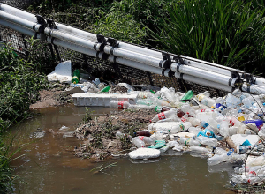 Երևանյան լճի մաքրման աշխատանքներին զուգահեռ լճի վրա տեղադրվել է աղբաորսիչ ցանց․ քաղաքապետ