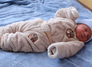 Сколько малышей появились на свет в Шираке