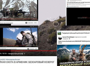 ՇՄՆ-ն պարզաբանում է ներկայացրել բեզոարյան այծի որսի վերաբերյալ տարածվող տեսանյութի մասին