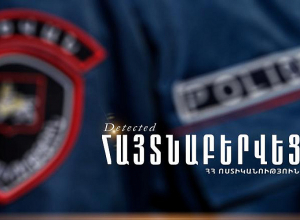 Գողության համար հետախուզվող Դիանան հայտնաբերվեց