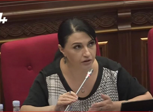 Բա մինչև հիմա ի՞նչ ենք արել այդ դեղերի հետ․ պատգամավորը՝ Ավանեսյանին