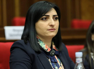 Թովմասյան․ Արցախահայությանն օգնելու հրատապ անհրաժեշտություն կա՝ ահազանգել եմ միջազգային գործընկերներիս