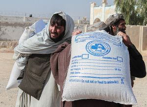 Եվրոպայում կա մի երկիր, որը սննդամթերքի արտաքին օգնության կարիք ունի․Պարենի համաշխարհային կազմակերպություն