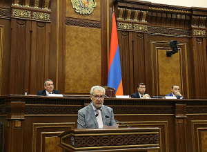 Создав МВД, мы решим сразу несколько проблем: Андраник Кочарян