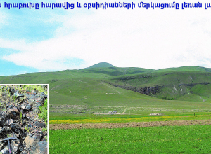 Երկրաբանական ինստիտուտի հայտարարությունը՝ Հատիս լեռան գագաթին Հիսուսի արձանի տեղադրման վերաբերյալ