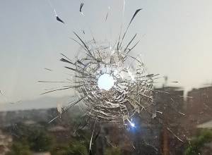 Կրակել են բնապահպան Թեհմինե Ենոքյանի բնակարանի պատուհանին