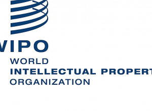 Փոխնախարարը մեկնում է Ժնեւ՝  նստաշրջանին մասնակցելու