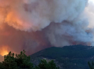 Թուրքիայի արևմուտքում մոլեգնում են անտառային հրդեհները