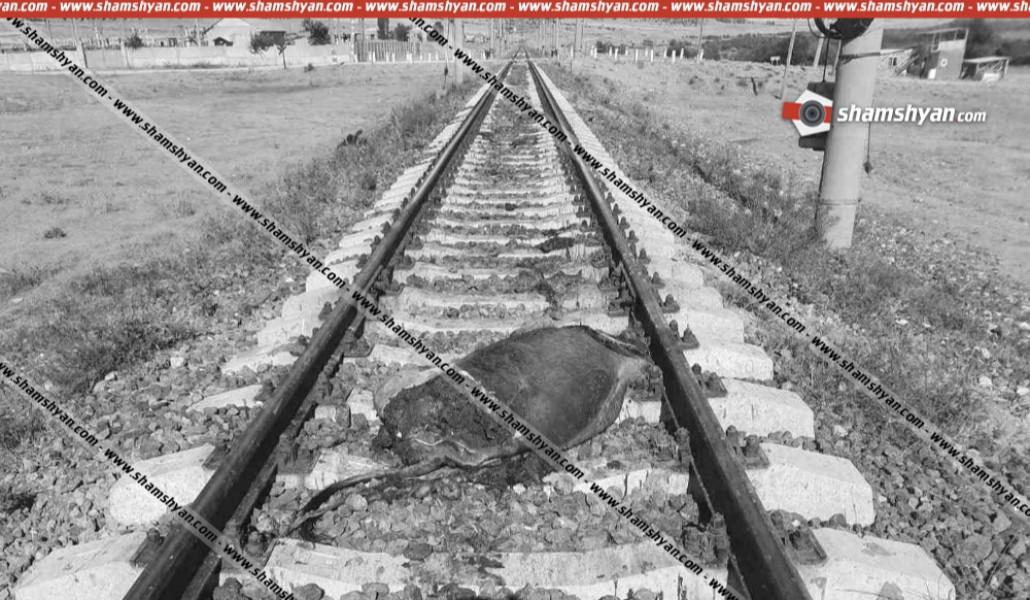 214affaef2e50849c4761c0227661714