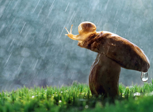 Սպասվում է կարճատև անձրև և ամպրոպ․ 6-8 աստիճանով զովանալու է