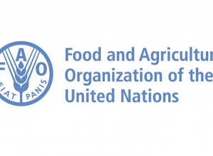 Հուլիսին պարենային ապրանքների համաշխարհային գները նվազել են