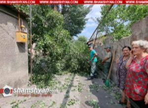 Երևանում հաստաբուն ծառից մի հատված պոկվել և վնասել է գազախողովակներն ու էլեկտրալարերը