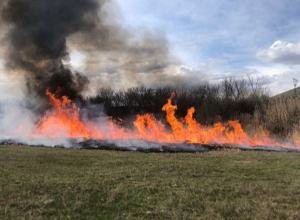 Հրշեջ-փրկարարները մարել են ընդհանուր մոտ 34․8 հա տարածքում բռնկված հրդեհները