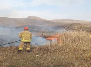 Գորիսի վերջնամասում այրվել է մոտ 35 հա ցորենի հնձած արտ