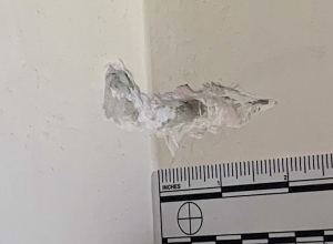 Կրակել էր համագյուղացու պատուհանին