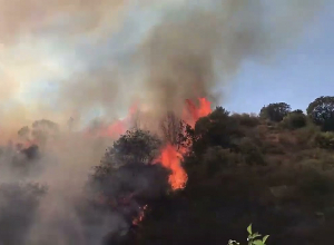 Հրդեհ Բերձորից Աղավնո տանող ճանապարհին.  տեսանյութը տարածվել է համացանցում