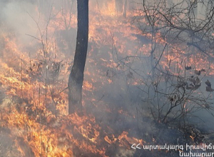 Այրվում է մոտ 60 հա խոտածածկ տարածք