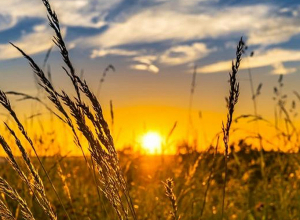 Ինչ եղանակ են կանխատեսում առաջիկա օրերի համար