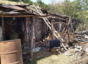 Որևէ կենդանի չի տուժել