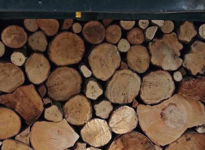 Полицейские Чамбарака обнаружили нелегальную древесину