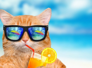 Ջերմաստիճանը բարձրանալու է