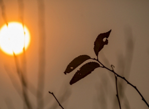 Ջերմաստիճանը նախ կբարձրանա, ապա՝ կնվազի 4-6 աստիճանով