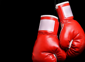 Պրոֆեսիոնալ բռնցքամարտի աշխարհի չեմպիոնները կօգտվեն զինծառայության տարկետումից