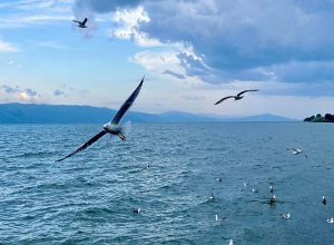 Այսօր Սևանա լճի օրն է․ ՇՄՆ