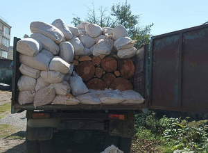 Ապօրինի փայտանյութը քողարկել էին թեփի պարկերով